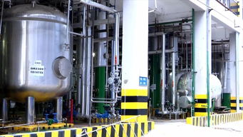 河源之光 新兴能源技术研发领军企业，产品远销欧非美洲